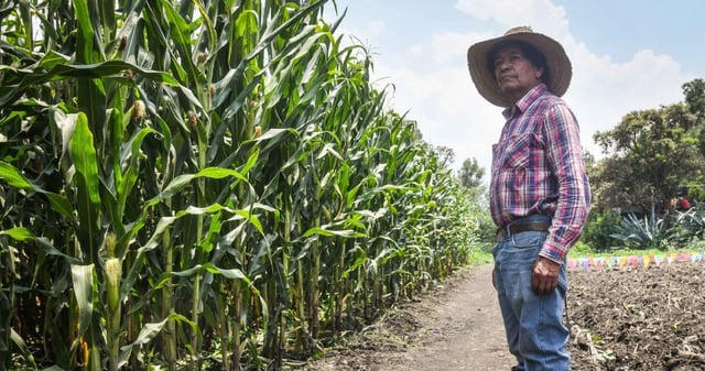 El decreto fue elaborado por Agricultura, Salud, Medio Ambiente y Economía. Foto: Mario Jasso, Cuartoscuro