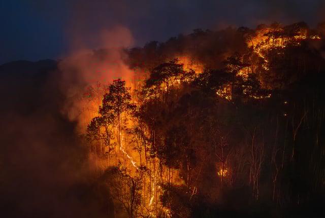 A stock photo of a wildfire.