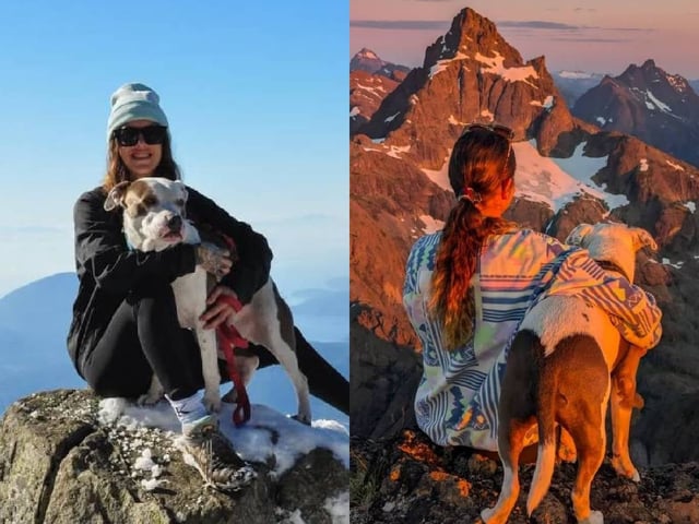 Mujer se lanza desde 18 metros para rescatar a su perro
