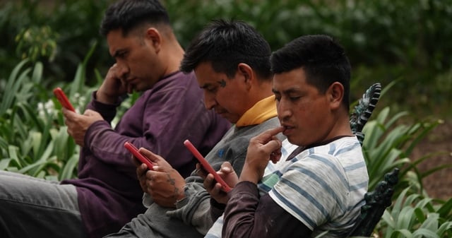 Adultos y jóvenes, potenciales víctimas de las "novias virtuales". Foto: Captura de pantalla