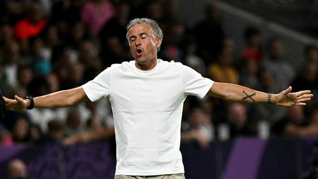 Paris Saint-Germain's Spanish head coach, Luis Enrique, reacts during the French L1 football match against Toulouse FC. 