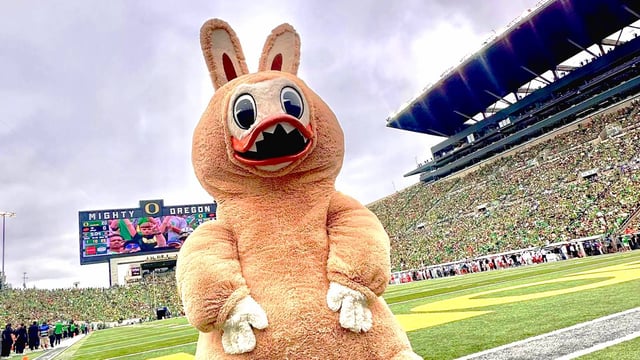 Labubu oregon duck mascot cosplay