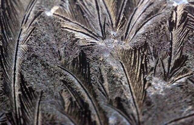 Veins of frost are visible on a window January 22, 2004 in Des Plaines, Illinois.