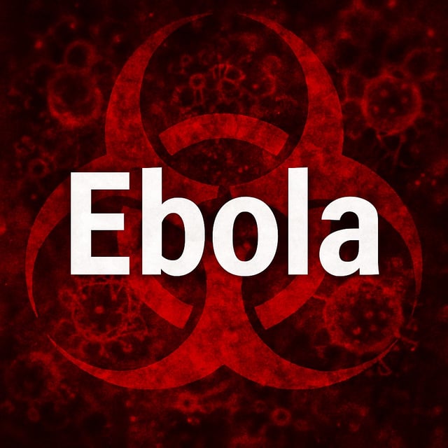 Ebola Outbreak in Kasai Province: Africa CDC and WHO Launch Emergency Response