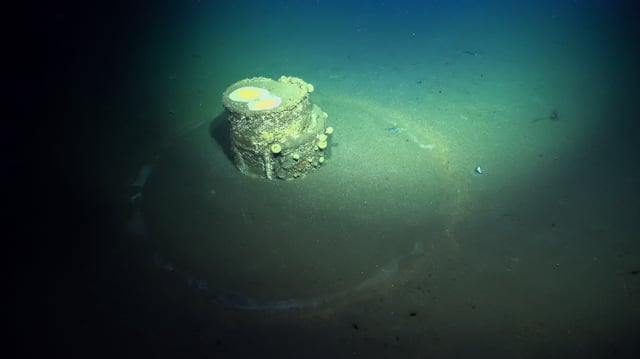 The toxic barrels, which came to public attention in 2020, appear to have "halos" around them — and researchers have finally figured out why.