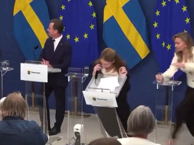 La nueva ministra de salud de Suecia, Elisabet Lann, se desploma en plena conferencia.