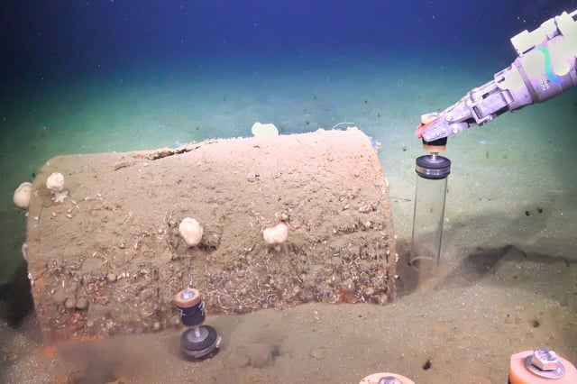 © Schmidt Ocean Institute