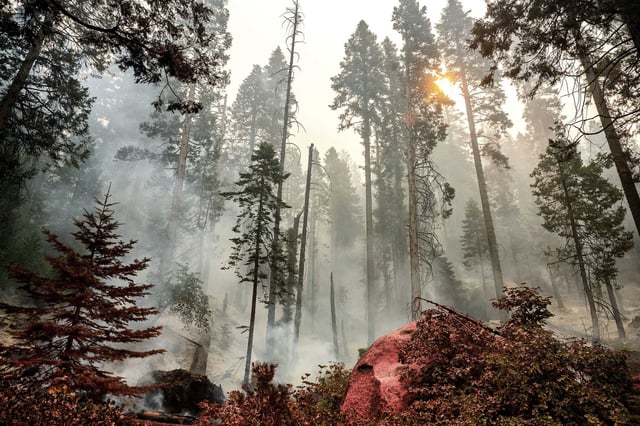 The Garnet Fire burns in the McKinley Grove area of the Sierra National Forest on Tuesday.