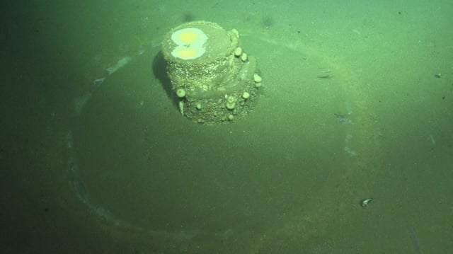 As the sediment dissolves, it creates the odd-looking halos around each barrel.