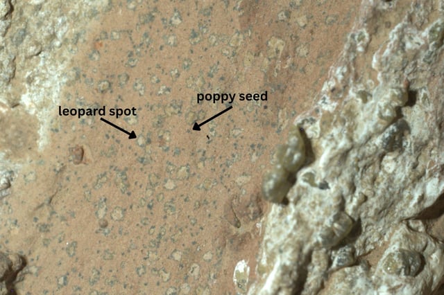 Perseverance captured this image of a rock called Cheyava Falls on July 18, 2024 © NASA/JPL-Caltech/MSSS