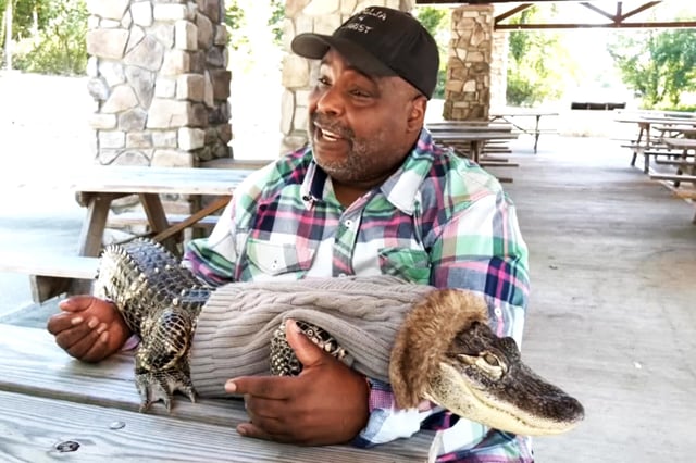 Wesley Silva with his pet alligator in Pittsburgh. 