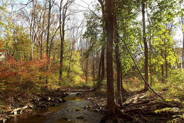 Mount Kisco Reverses Ban, Allows Chabad Tashlich Ceremony in Public Park