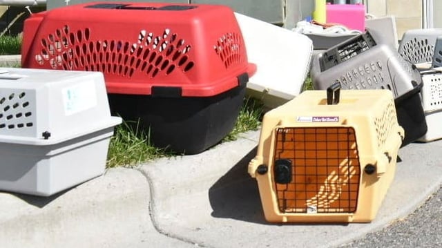 Das FBI hat zwei Pfund Meth in einem Tierheim verbrannt, 14 Mitarbeiter erlitten Verletzungen.