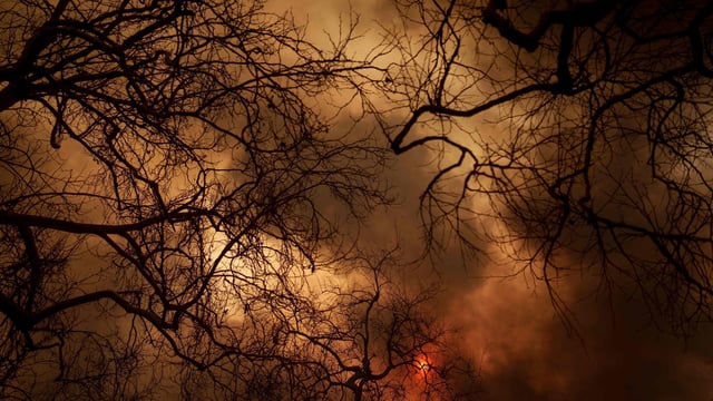 The Southern Californian wildfires earlier this year brought attention to drought conditions, which have been exacerbated by climate change. 