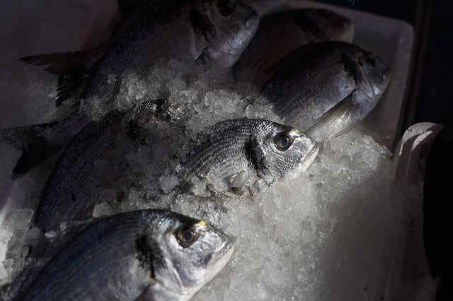 FILE - Fresh fish are packed in ice as they await purchase at a morning market in Nice, southern France, Friday, Feb. 11, 2022. (AP Photo/Daniel Cole, File)