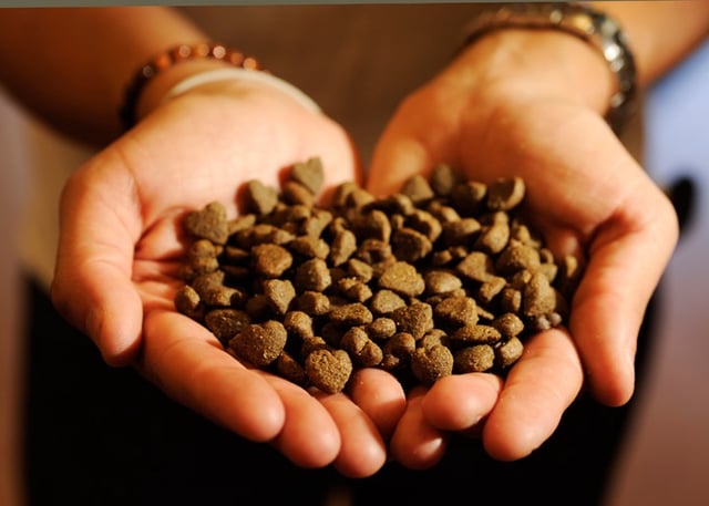 Dog food sold in Canada may contain salmonella.