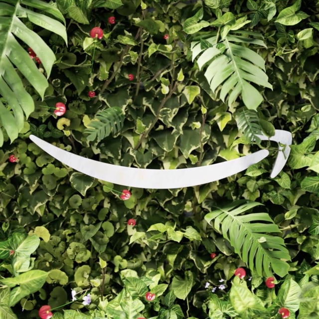 Amazon logo - greenery
