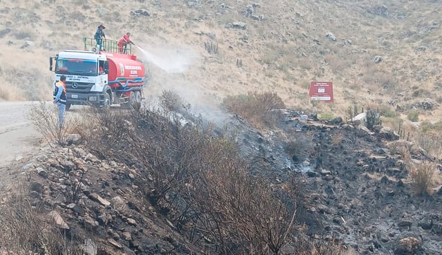 Arequipa: más de 50 especies de flora y fauna afectadas por incendio forestal en faldas del volcán Misti