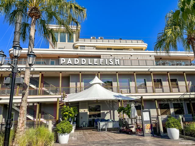 Paddlefish