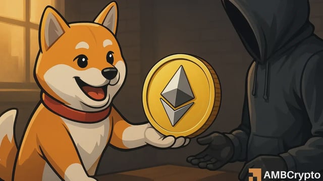 K9 Finance offers $23K bounty
