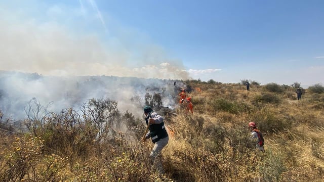 Incendio forestal en faldas del volcán Misti. Foto: difusión.