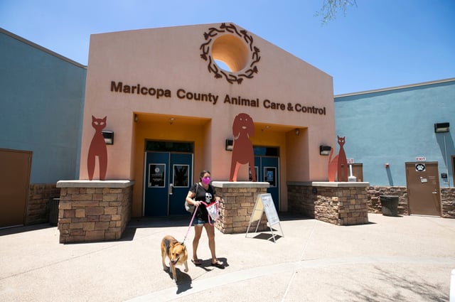 Maricopa County Animal Care and Control Shelter in Phoenix in 2021.