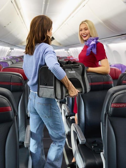 Bookings for the Pets in Cabin service are available through Virgin Australia’s Guest Contact Centre. NewsWire / Carly Ravenhall