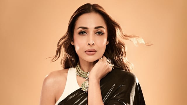 Malaika Arora’s last public relationship was with actor Arjun Kapoor.
