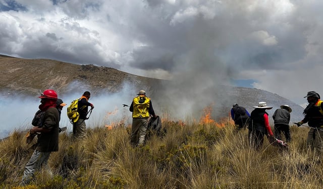 Dos nuevos incendios forestales en Arequipa consumen más de 100 hectáreas