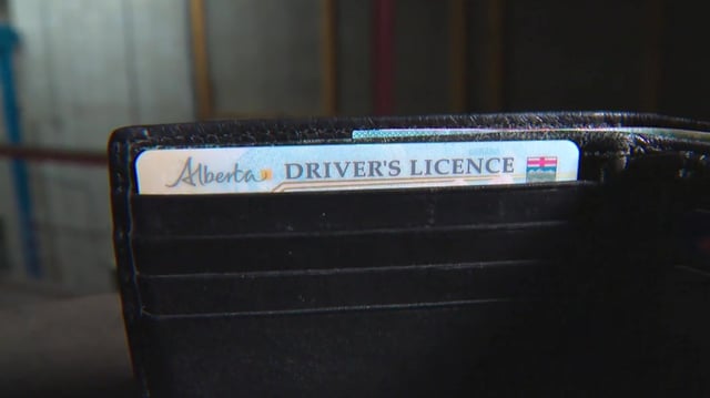 An undated photo of an Alberta driver's licence.