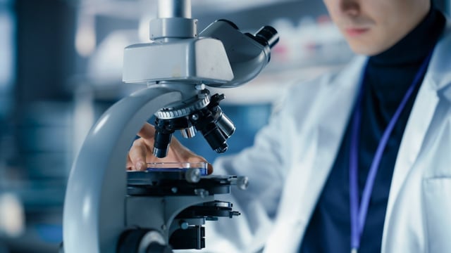 The Phase III EquilibriX-S study will test the therapy in those on FXa DOACs. Credit: Gorodenkoff / Shutterstock.com.