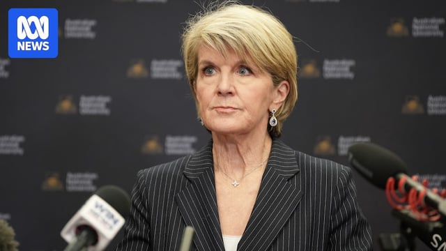Julie Bishop looks serious at a press conference.