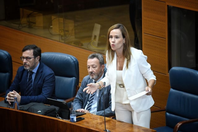 La portavoz de Vox en la Asamblea de Madrid, Isabel Pérez Moñino.