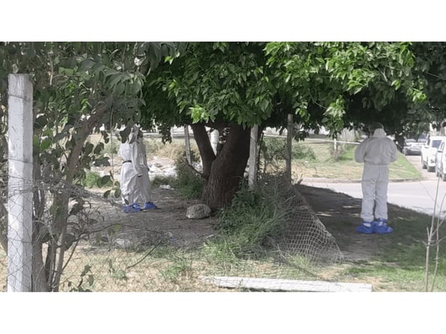 Los peritos buscando pruebas en el lugar.