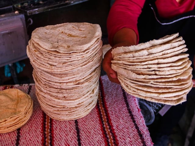 Concurso de Tortillas en CDMX.
