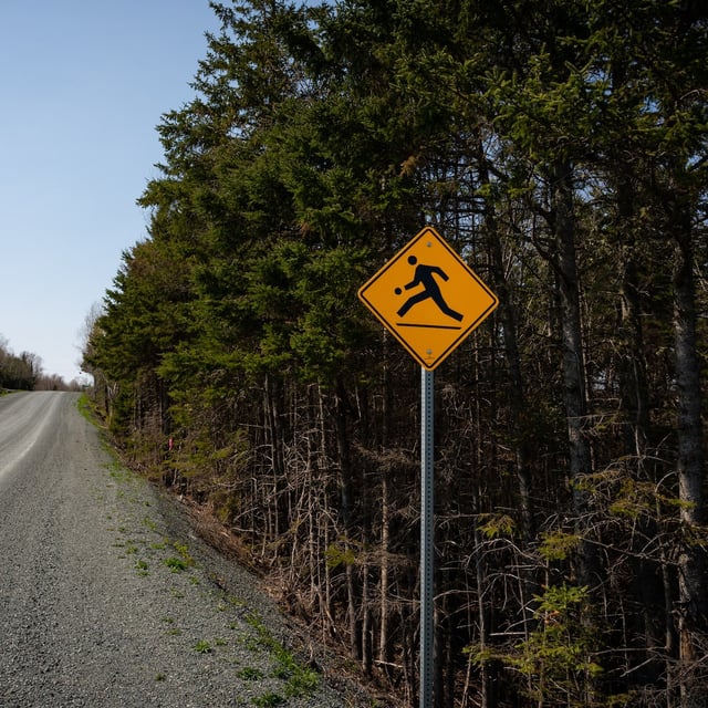 Lansdowne Road near the home of missing kids Jack and Lilly Sullivan in Pictou County, N.S., in May. Police say they are now using cadaver dogs in the investigation.