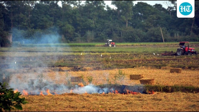 The season of farm fires has already begun in Punjab with the first blaze reported from Amritsar on September 16. (Sameer Sehgal/HT)