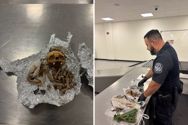Photos released by the CBPDirector show the human skull and bones wrapped in foil.