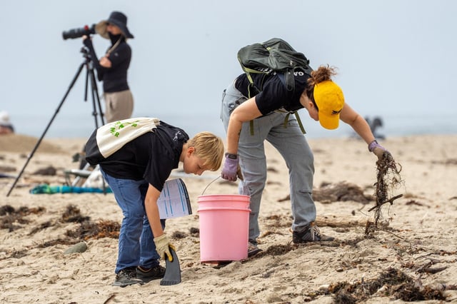 Audrey Diehl and her son Andy pick up trash along the shoreline during California Coastal Cleanup Day 2025 at Surfrider Beach, hosted by the City of Malibu and Heal the Bay, on Saturday, Sept. 20, 2025. (Photo by Mark Savage, Contributing Photographer)
