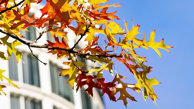 Jetzt geht der Herbst so richtig los! Auf dem Kalender, meteorologisch und beim Wetter.