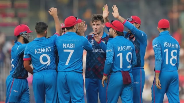 Afghanistan celebrate a fall of wicket during ODI World Cup 2023 | Image: Associated Press