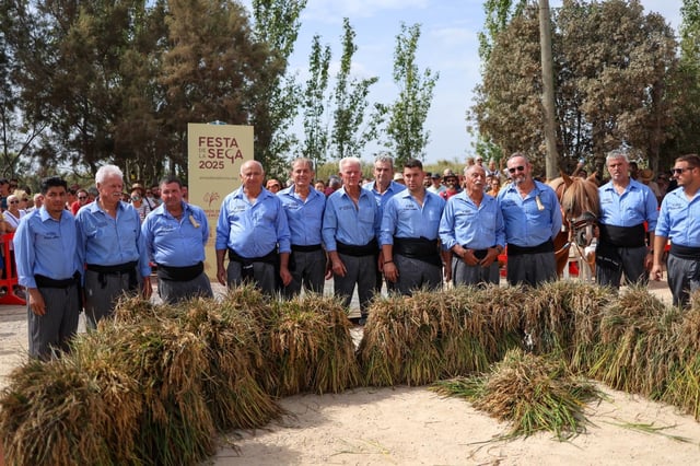 El puerto de Catarroja reúne a 5.000 personas en la Fiesta de la siega del arroz