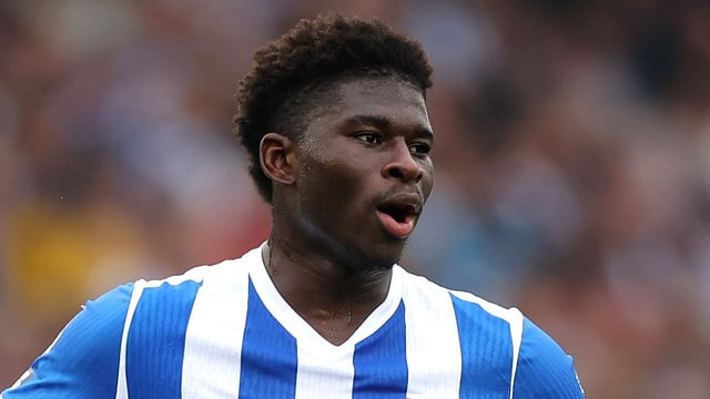 Brighton & Hove Albion v Tottenham Hotspur - Premier League