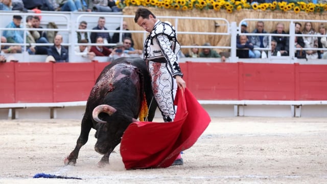 Daniel Luque, maître du toreo contemporain, a participé à la Feria des Vendanges à Nîmes.