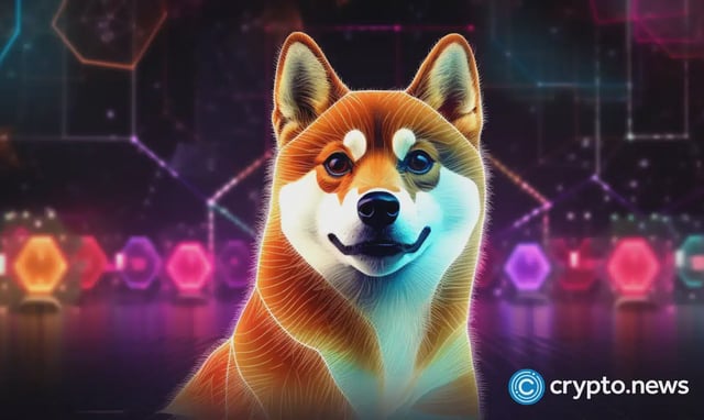 shiba inu, meme coin