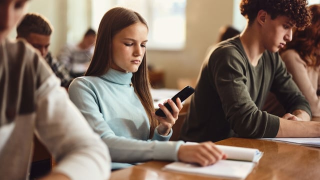The Liberal Democrats have called for the government to go further to protect children from harmful social media use