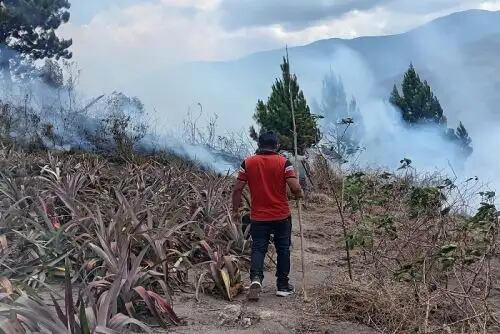 Fuego en Pasco dejó un muerto y arrasó con más de 20 hectáreas de pastizales. Foto: Difusión.