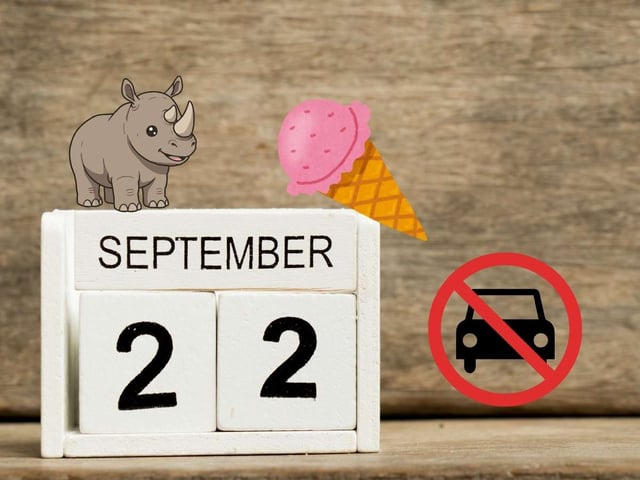 Qué se celebra el 22 de septiembre