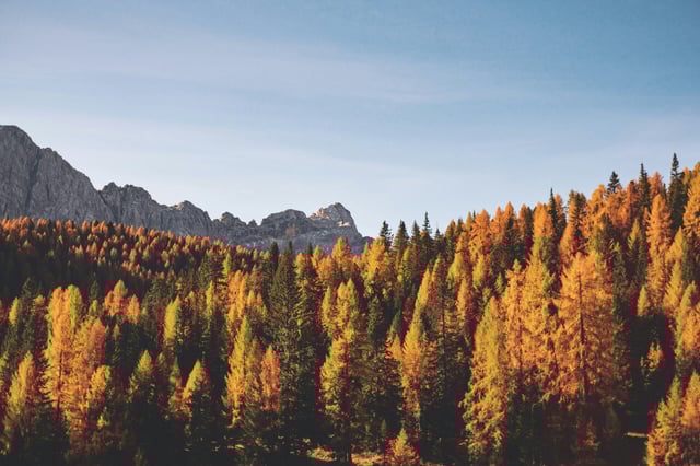 Credit: Photo by Federica Galli on Unsplash