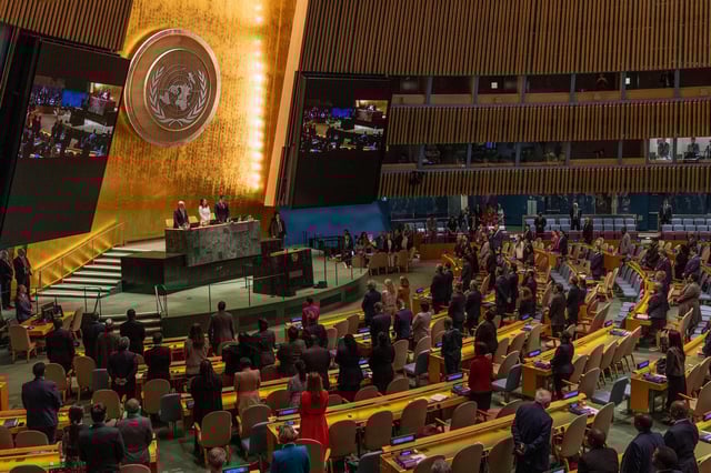 Asamblea General de Naciones Unidas